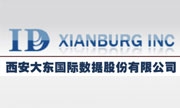 西安大东国际数据股份有限公司
