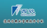 西软软件股份有限公司